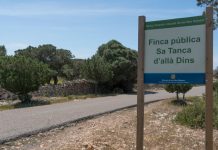 Formentera aprueba la regulación de acceso de los vehículos a la finca Sa Tanca d’Allà Dins para la temporada de verano