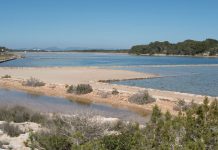 Sancionados con 8.000 euros por practicar esquí acuático en los estanques de las salinas de Formentera en 2019