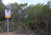 Este domingo comienza la temporada de caza menor en Formentera hasta el 1 de enero de 2023