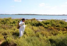 S’intensifica la lluita contra els mosquits