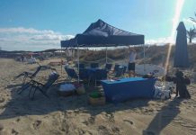 Formentera retira dos instalaciones no autorizadas en la playa de Illetes