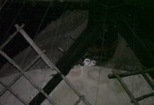La reina de la nit habita el molí vell de la Mola