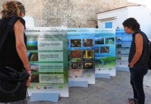 Comença el Festival Save Posidonia Project