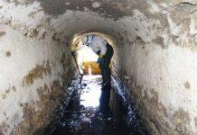 El Consell limpia el canal de ses Salines