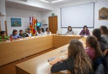Los más jóvenes conocen el funcionamiento del Consell