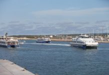 Gent per Formentera presenta alegaciones al borrador de Decreto de transporte marítimo