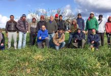 Nueva oferta de cursos gratuitos de agricultura y ganadería