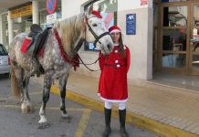 Marisco y pescado para festejar la Nochebuena