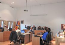 El ple del Consell demana la modificació de la Constitució perquè Formentera tengui un senador propi