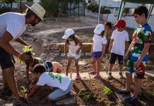 Vuelve la educación ambiental a través de los cursos de agricultura infantil