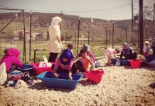 Formentera conmemora el Día Mundial de las Personas Refugiadas