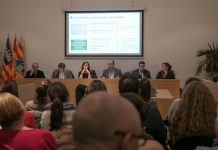 La regulación de la entrada de vehículos en Formentera podrá ser aplicada a partir de 2019