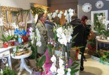Rosas rojas y detalles románticos para festejar San Valentín
