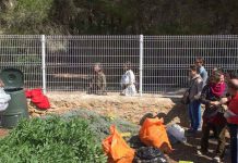Nueva iniciativa para fabricar compost en casa