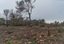 Charla explicativa sobre subvenciones para la creación de áreas de prevención de incendios