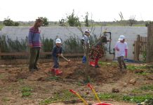Vuelve el taller de huerto infantil para promover el cultivo de la tierra entre los más pequeños