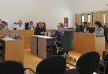 El pleno del Consell aprueba la propuesta de paralización del proyecto MEDSALT-2 de sondeos acústicos en el Mediterráneo