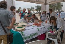Prevención y cuidados para evitar el cáncer de piel
