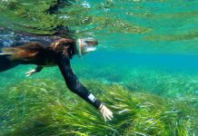 Formentera acoge el Posidonia Fórum