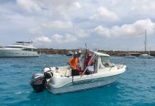Menos barcos y menos fondeos sobre posidonia