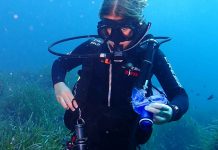 Una campaña para eliminar los plásticos de los fondos marinos