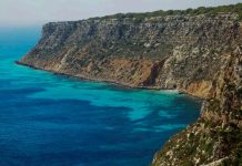 Interceptados 20 migrantes en la línea de costa de Punta sa Cala