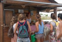 Propuestas saludables en el mercadillo del ciclo Formentera Zen