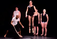 CROTCH, o la desaparición experimental del género