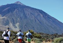 Canarias, Caribe y Centroeuropa entre los destinos más solicitados