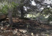 Sofocat un petit incendi as Cap de Barbaria