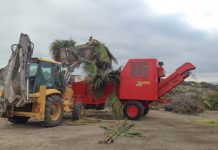 Els agricultors de Formentera podran disposar de matèria orgànica gratuïta pels seus camps