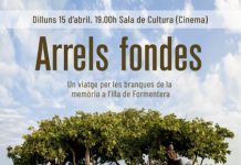 Les branques de la memòria