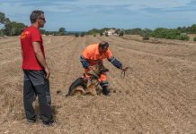 La patrulla canina de Formentera