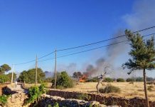 Se queman dos hectáreas agrícolas en Sant Ferran