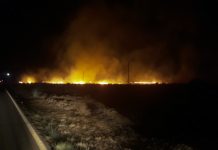 Controlat l’incendi declarat a la Mola