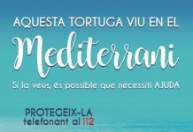 Una campanya per ajudar a les tortugues