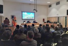 El Consell d’Entitats ya cuenta con una Sección sectorial de Igualdad