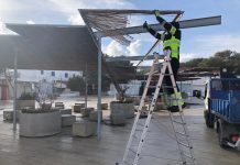 El temporal de lluvia y viento provoca la caída de tres árboles en Formentera