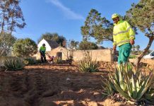 Trabajos de mantenimiento en el Jardí de ses Eres