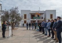 Alejandra Ferrer demana la unió de les illes per aconseguir la sostenibilitat
