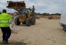 Retiran una vaca muerta en la costa d’es Carnatge