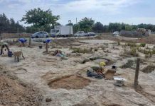 Salen a la luz cuatro nuevas sepulturas en la necrópolis bizantina de Sant Francesc