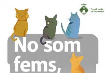Vuelve la campaña «No som fems, som gats» contra el abandono de felinos