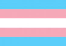 Teatro, cine, talleres y charlas con motivo del Día Internacional de la Despatologización Trans