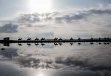 La novena edició de Formentera Fotogràfica se celebrarà la primera setmana d’octubre
