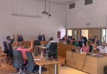 La protección del territorio, la vivienda y el fomento de energías fotovoltaicas, entre las principales propuestas aprobadas en el debate del estado de Formentera