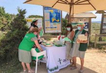 La Asociación Española Contra el Cáncer en Baleares sale a la calle para recoger firmas y liberar las playas de humo