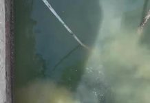 Se produce un vertido de aguas residuales en el puerto de la Savina