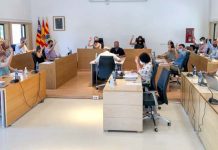 Unanimidad plenaria para instar a reducir las frecuencias marítimas y la reordenación del puerto de la Savina