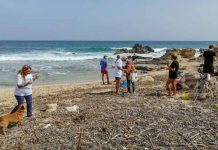 La limpieza de cala en Baster y es Carnatge se salda con la recogida de 300 kilos de residuos
